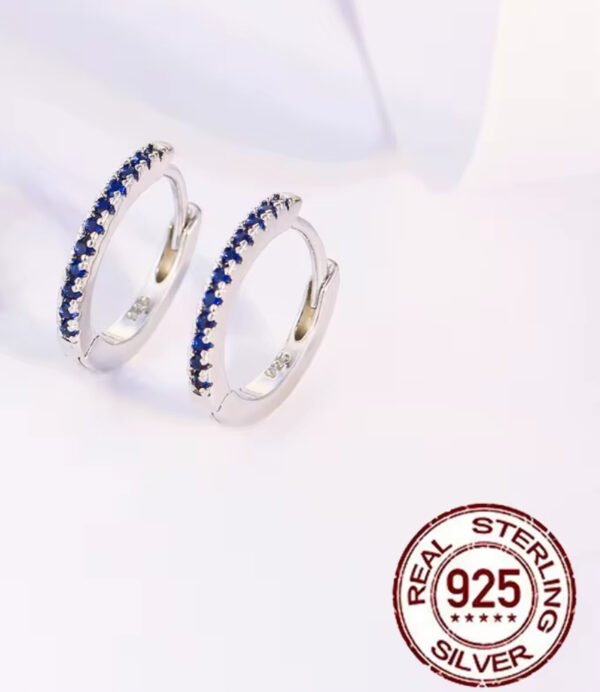 High Quality Girls Fashion Jewellery 14mm Huggie Earring Hypoallergenic 925 Sterling Silver Small Hoop Earrings for Women - Image 6