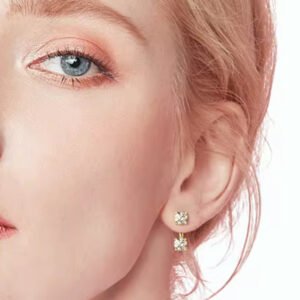 New Diamond Stud Earrings 925 Sterling Silver Dual Purpose 0.5CT 5.0mm D Color Round Double Moissanite Stud Earrings